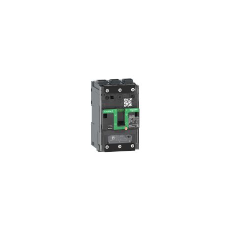 ComPacT NSXmB - disjoncteur - TM-D 32A - 3P3D - 25kA - borne EverLink - C11B3TM032L