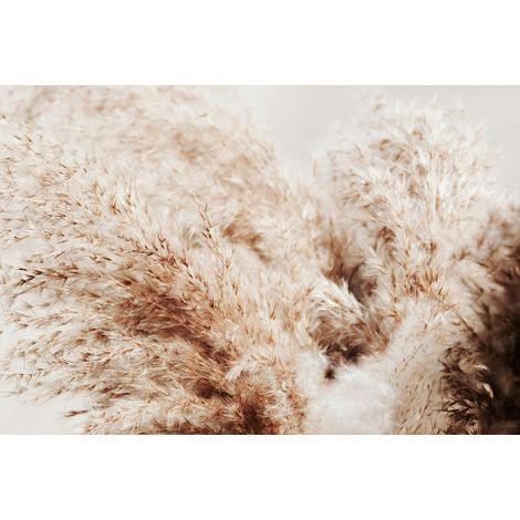 Papier peint panoramique - Pampas - 130 cm x 87 cm (1/2)