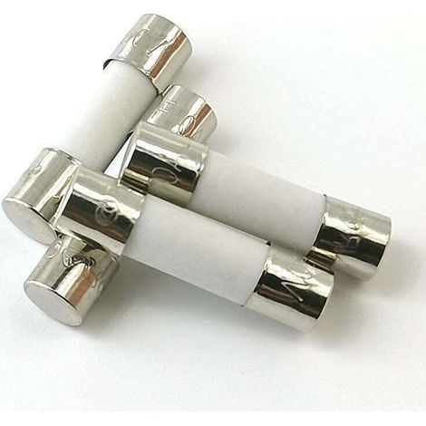 10x Fusible Temporisé (T) en céramique 10A / 250VAC 5x20mm (1/4)