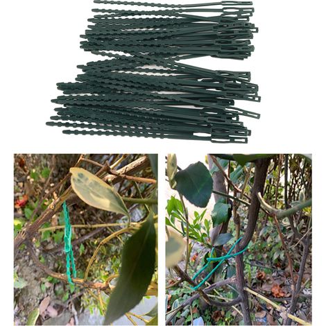 Attaches de jardinage, attaches pour arbres, serre-câbles de jardin, cordons de serrage pour bureau d'ordinateur, rack home cinéma (1/5)