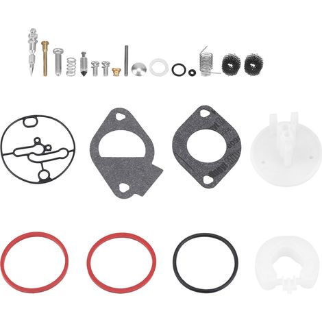 Kit de réparation de carburateur en métal robuste et durable pour moteurs Briggs & Stratton Craftsman (1/5)