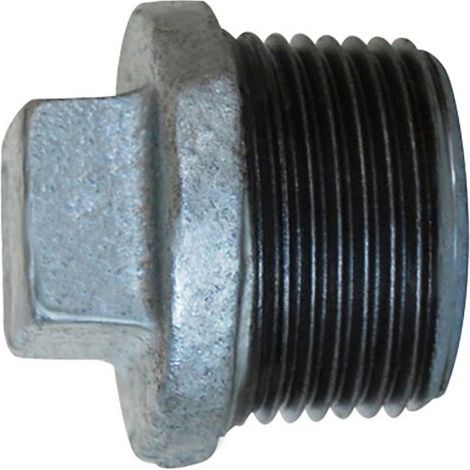 Bouchon Fonte Galvanisé 290 1" (26/34) Mâle - Thermador