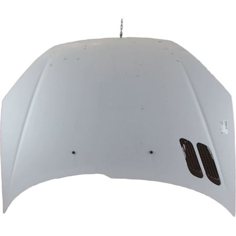 [PRODUIT D'OCCASION] Capot PEUGEOT 206 ♻️ Ref Oe. 7901k1 - Garantie à vie (1/5)