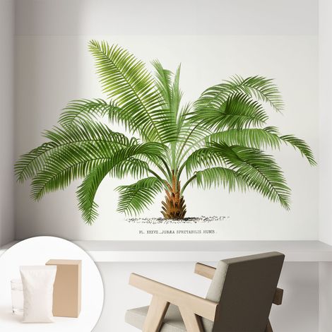 Tapete Vliestapete mit Kleber - abwaschbar - Arbeitszimmer - Esszimmer- Top Qualität Glänzende Palme 104x70 cm (1/5)