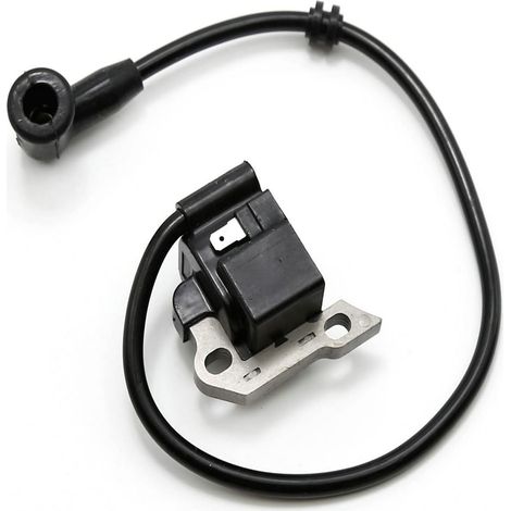 Bobina di accensione ad alta tensione compatibile con BR320 BR340 SR420 4203 400 1302 con candela - ALTRO (1/3)
