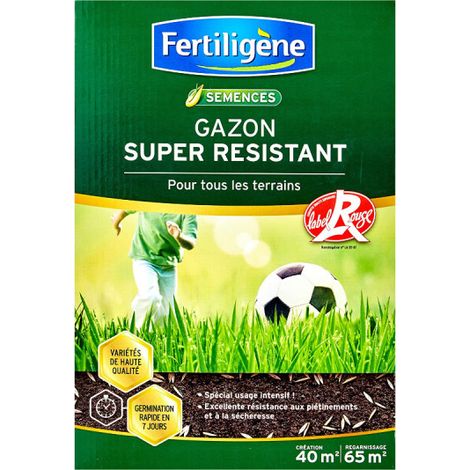Fertiligene Prato Super Resistente sacco 1 kg (1/2)