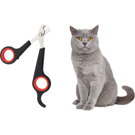 Coupe-ongles professionnels en acier inoxydable pour chats et petits chiens (1/5)
