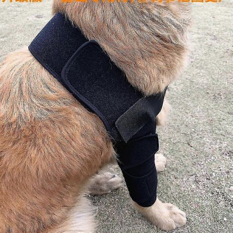 Attelle de coude pour chien pour les épaules, les pattes avant, les luxations, les escarres, les blessures, l'arthrite, la perte de stabilité (L) (1/4)
