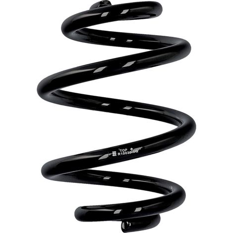 Ressort arrière d'origine Eibach ERL BMW R10030 (1/2)