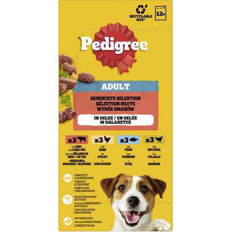 Pedigree Hundenassfutter Adult 12 x 100 g Gemischte Selektion (1/3)