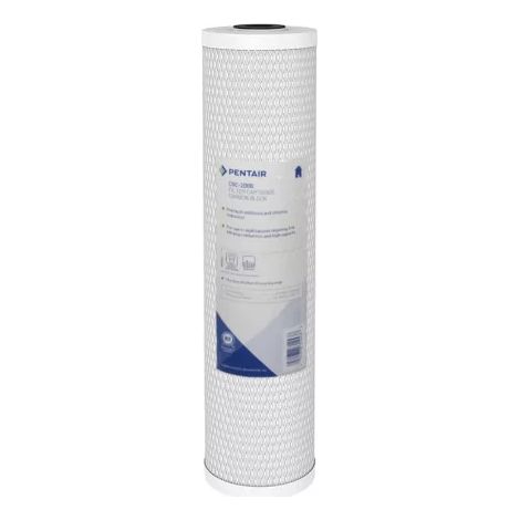Filtre à Eau Pentair CBC 20 BB