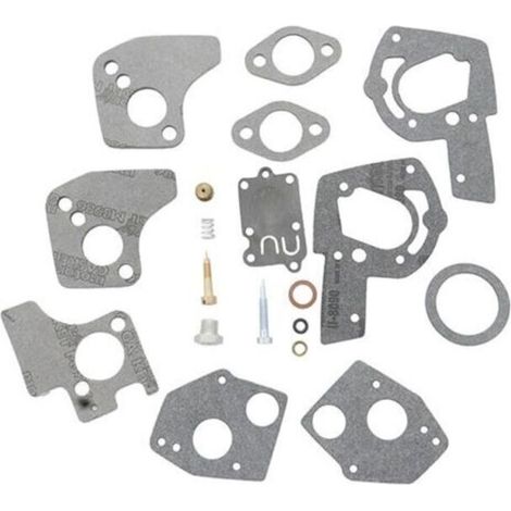 Kit joints carburateur Briggs & Stratton
