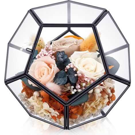 Pots de fleurs d'intérieur - Pots de fleurs d'extérieur - Terrarium géométrique en verre – 16,5 x 16,5 x 4 cm - Porte-plantes sphérique en verre - Décoration de table - Cadre noir - Plantes non inclus (1/5)