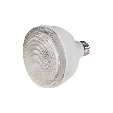 Orbitec 131048 Lampadina E27 20W 4000K