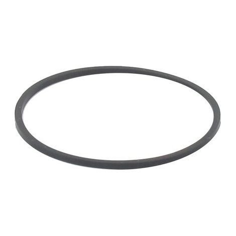 Guarnizione galleggiante BRIGGS ET STRATTON 698538