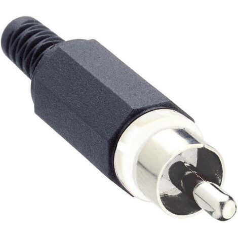 Cinch/RCA mâle, droit Lumberg XSTO 1-WH Nombre de pôles: 2 blanc 1 pc(s) D26680 (1/3)