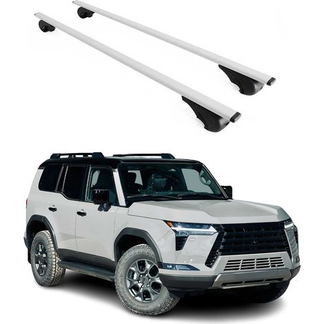 OMAC Dachträger Querträger für Lexux GX III 2024-2026 – Abschließbar – Max. 75 kg – 2 Stangen Silber (1/5)