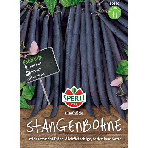 Sperli Stangenbohnen Blauhilde - Gemüsesamen (1/3)