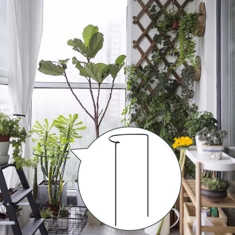 Tuteur pour plantes, demi-rond, anneau de support, support pour fleurs de jardin, tuteurs pour plantes d'intérieur (1/5)