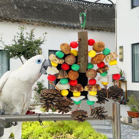 Jouets pour perroquets, noix riches en nutriments, jouet à mordre en bois naturel pour cage de perroquet, cacatoès contenant des os de seiche, pommes de pin, mangues en bois et carambole (1/5)