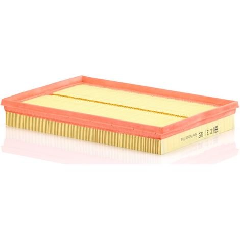 Filtre à air Mann Filter C31123