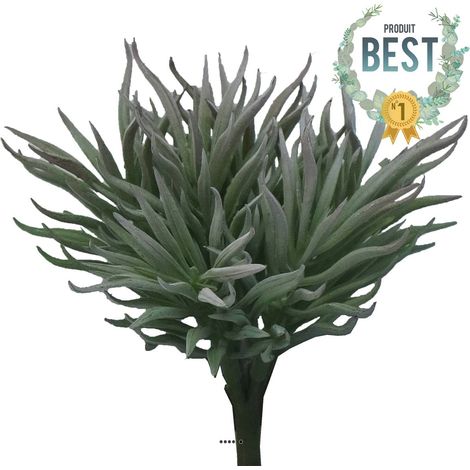 Séneçon de Barberton factice en piquet, H15cm, D16cm, Vert Aloé - BEST - couleur: Vert aloe (1/2)