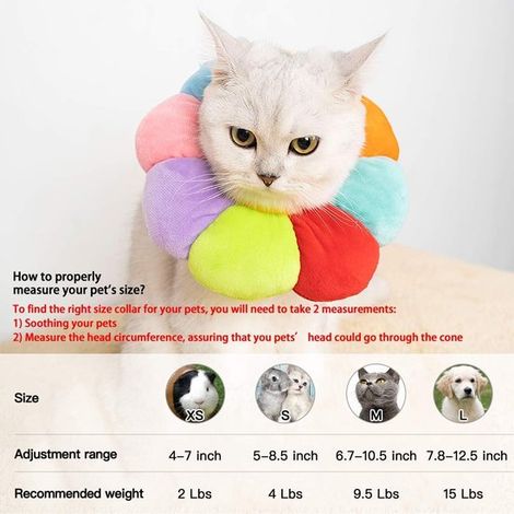 Haustierhalsband Rehabilitationshalsband für Katzen Baumwollhalsband Für Katzen Welpen und Kaninchen Verstellbares Halsband Niedliches für Farbe (1/4)