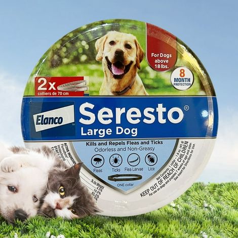 Collier anti-puces chien 70 cm, protection waterproof 6 mois, 2 pièces, grande taille, traitement longue durée contre puces et tiques (1/5)