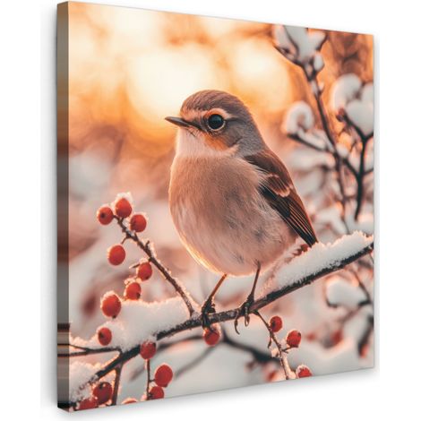 CUADRO EN LIENZO Pájaro - Rama - Invierno - Animales - Nieve Decoracion Pared Salon 20x20 cm