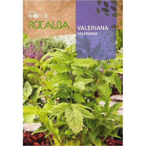 Rokalba Valeriana Taschen Samen 0,2 g