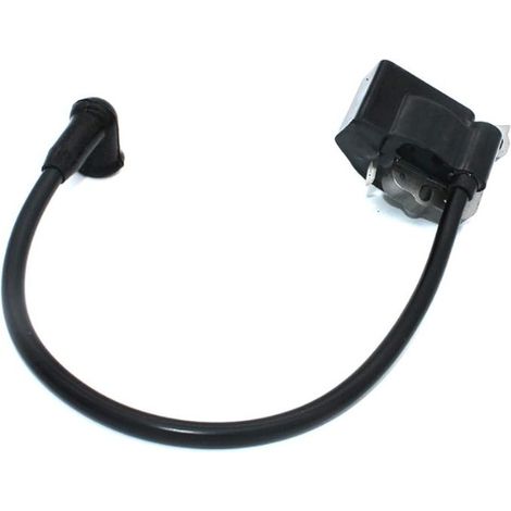 Bobine d'allumage / bobine haute tension pour les modèles 3400, 3700, 3800, 4000, PP375, PP385 et PP395 (Réf. 5300390). (1/5)