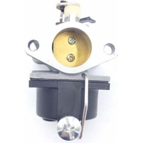Carburateur Tecumseh 640065A 640065 pour moteurs OHV110-135 - Pièce d'origine haute performance pour une combustion optimisée (1/4)