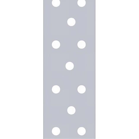 Feuillard perforé galvanisé - 40 x 2,0 mm x 10 mètres