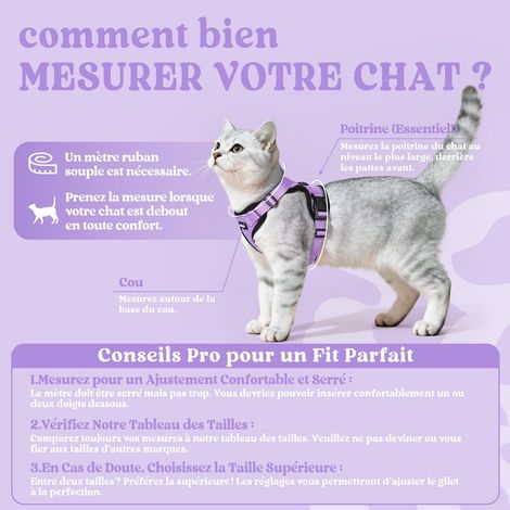 Harnais et Laisse pour Chat, Ensemble de Marche Confortable, Réglable et Sécurisé, Anti-Évasion en Maille Respirante pour Chatons et Chats Adultes (1/5)