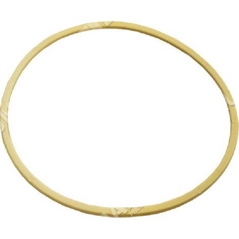 Guarnizione tappo serbatoio per atomizzatori DAL DEGAN 8040556000 Compatibile - 016805