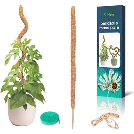 QAZQA 1 Pièces 60 cm(24 Pouces) Tuteur Coco Pliable Bâton de Mousse de Coco avec pour Monstera Creepers Plantes Grimpantes avec 1 Rouleau Serre Câbles et 1.5m Ficelle de Jute (1/5)