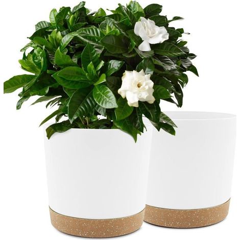 Ecleanfy - Lot de 2 pots blancs 25,4 cm pour plantes d'intérieur avec drainage et soucoupe amovible (1/5)