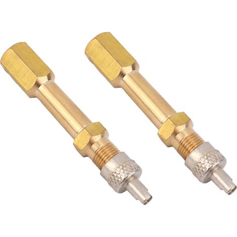 2 Extensions de Valve, Adaptateur de Pneu en Laiton 50mm Ultra-Résistant avec Alésage Droit Rallonge Gonflage Universel pour Voiture Camion Moto Vélo Tondeuse Trottinette