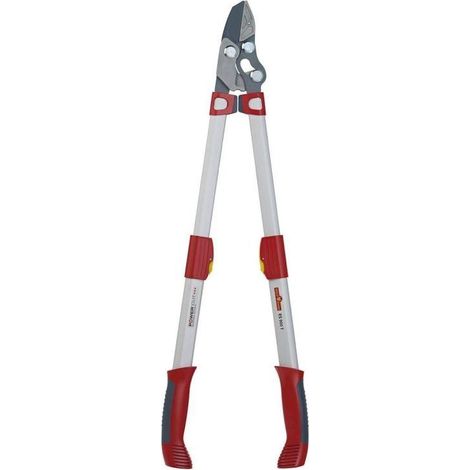 Power Cut Anvil Lopper Telescopic Handle Adjustment Wolf Garten (1/4)