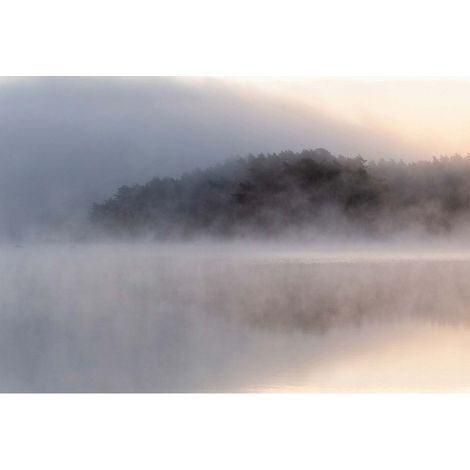 Papier peint panoramique foret lac brouillard Tapisserie panoramique bureau et salle à manger Papier peint panoramique gris noir jaune effet flou (1/2)
