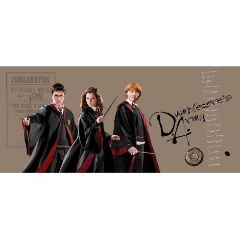 Poster géant horizontal Harry Potter et ses amis Hermione et Ron 170 x 75 CM (1/4)