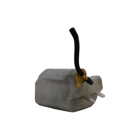 [PRODUIT D'OCCASION] Vase Expansion FORD Ranger ♻️ Ref Oe. Tg823021118 - Garantie à vie (1/2)