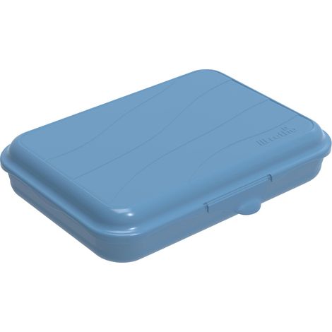Rotho Brotdose Funbox 0,75 l, 19,5 x 14,5 x 4 cm, horizon blue Boxen, Körbchen & Kisten