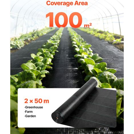 Toile de Paillage 2x50 m Bâche Anti Mauvaise Herbe 100 g/m² (1/5)