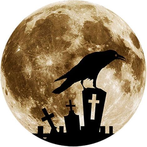 Sticker mural décoratif lumineux pour chambre d'enfant, décoration d'Halloween, adhésif pour plafond ou mur, porte, fenêtre, chambre, fête-crow (1/5)