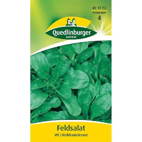 Quedlinburger Feldsalat Vit - Gemüsesamen (1/2)