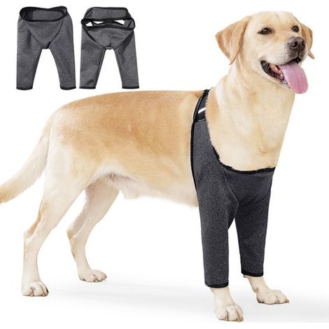 Soporte para patas de perro - Gris claro, Talla S: Longitud de la pata 11,5 cm, Circunferencia del pecho 40-46 cm, Peso recomendado 4,5-7,3 kg (1/3)