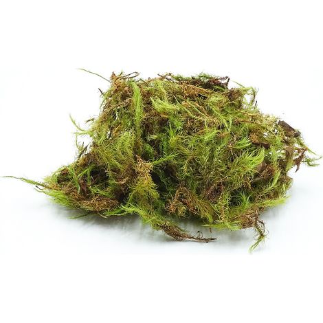 Muschio BioGreen 25 g (1/5)
