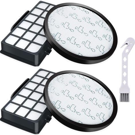 LaBlanc - Pack de 2 filtros HEPA para aspiradoras Rowenta X-Trem Power Cyclonic RO6984EA RO6941EA RO6963EA RO6921EA RO6971EA RO6993EA (modelo RO69XX), accesorios de repuesto para filtros ZR006001