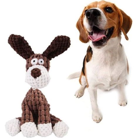 Jouet Chien,Jouets à Mâcher Durables,Pour Le Nettoyage Des Dents,Jouets d'Entraînement Interactifs,Pour Chiots Petits Chiens Moyens (1/4)